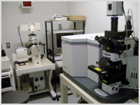 Zeiss LSM 5 Pascal and Olympas Laser ScanninCytometer LSC